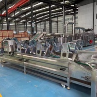 Nouvelle machine à frites entièrement automatique, personnalisable, en acier inoxydable 304 de qualité alimentaire, haute efficacité, pour frites surgelées