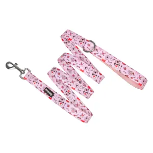 Hanyang OEM Custom Design Soft Padding Comfortable Dog Leash and collar set