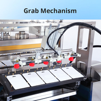 Machines d'emballage sous blister automatiques personnalisables, machine de scellage sous blister pour comprimés effervescents et capsules
