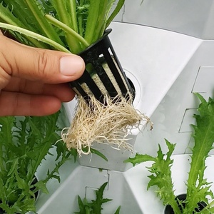 Grande tour de jardinière aéroponique ananas personnalisée serre système <span class=keywords><strong>hydroponique</strong></span> pour jardin fait <span class=keywords><strong>maison</strong></span> tour de laitue jardin - Product Image 3