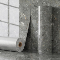 Papel Tapiz Autoadhesivo Ignífugo Contemporáneo, Papel Tapiz Decorativo Moderno para Interiores Comerciales y Escolares