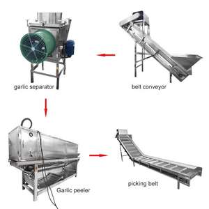 Séparateur d'ail et machine à éplucher les clous de girofle d'ail secs industriels automatiques de 100 kg/h avec compresseur d'air - Product Image 3