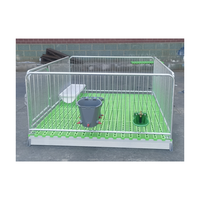 Cages pour animaux d'élevage et de reproduction, taille personnalisable, état neuf, pour agneaux et chèvres jeunes.