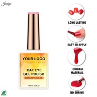 Ensemble de vernis à ongles gel effet œil de chat de qualité professionnelle avec 2 pinceaux à double embout et 1 bâtonnet magnétique pour la pose des ongles