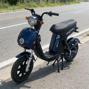 Trottinette électrique avec roue de 16 pouces, moteur arrière sans balais 48V 500W/800W, affichage numérique à 3 vitesses, batterie au plomb-acide/lithium, pour adultes - Product Image 1