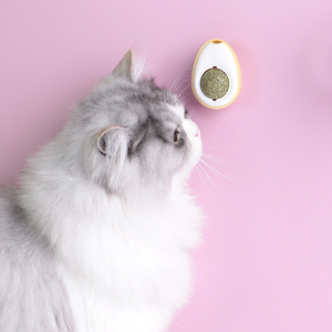 Nouvel Arrivage Jouet pour Chat Personnalisé en Forme d'Avocat, en Forme de Patte de Chat, Balle de Fruits Rotative Amusante, Jouet à l'Herbe à Chat pour l'Auto-entretenue - Product Image 6