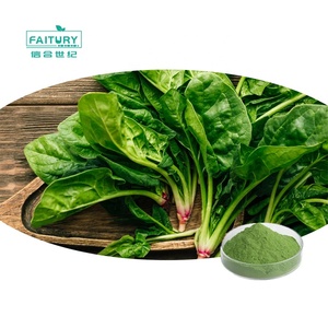 Faitury bán buôn USDA hữu cơ Superfood màu xanh lá cây rau bina lá bột hữu cơ rau bina bột với TC - Product Image 1