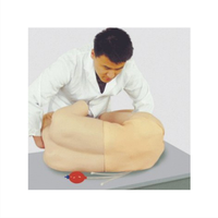 Modelo Anatómico Clínico ADA BIX-CK811, Simulación Humana de Tamaño Real para Punción Lumbar, Entrenamiento Médico, Uso Escolar
