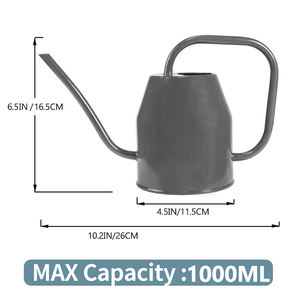 Regadera Metálica Pequeña <span class=keywords><strong>de</strong></span> 1000 ml <span class=keywords><strong>con</strong></span> Rociador <span class=keywords><strong>de</strong></span> Vidrio <span class=keywords><strong>de</strong></span> 360 ml <span class=keywords><strong>para</strong></span> <span class=keywords><strong>Plantas</strong></span> <span class=keywords><strong>de</strong></span> Interior, Suculentas, Cactus, Plántulas y Bonsáis - Product Image 6
