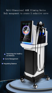 448Khz Tecar Thérapie Physiothérapie Indiba CET Ret Tecar Terapy Physiothérapie Thérapie Vétérinaire Machine Micro-ondes Diathermie - Product Image 2