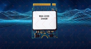 固态硬盘 M.2 手持式硬盘 相机 CFE 卡 BG4-2230 256GB - Product Image 4