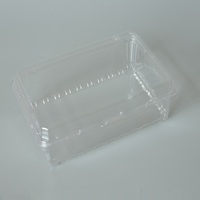 Contenitore Rettangolare Monouso in PET per Sushi, Noodles e Pomodorini, Design Creativo, Vendita all'Ingrosso