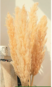 Fleurs séchées naturelles moyennes en gros, herbe de la pampa, décoration DIY pour la maison, pour la fête des mères, la Saint-Valentin, les mariages - Product Image 2