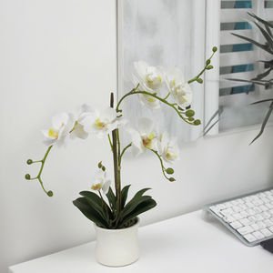 Piante di <span class=keywords><strong>Orchidea</strong></span> Artificiali in PEVA di Alta Qualità, Realistiche al Tatto, con Vaso, Fiori di <span class=keywords><strong>Orchidea</strong></span> con Vaso <span class=keywords><strong>per</strong></span> Decorazione d'Interni - Product Image 4