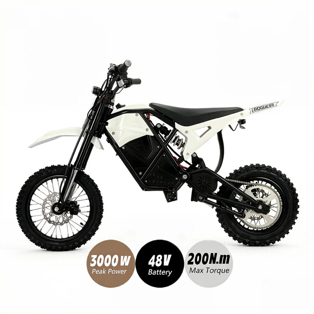 Good Price 2 Wheels Off-raod Fat Tire Electrical Bike Motorcycles 3000W Long Range Electric Dirt Bike for Rough Road
