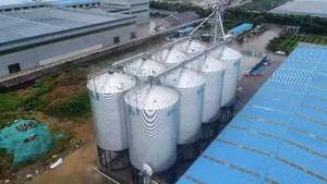 Silo en acier galvanisé pour le stockage des aliments, des semences, des céréales et des grains, de <span class=keywords><strong>30</strong></span>, 50, 100, 200, 500, 1000, 1500 tonnes - Product Image 4
