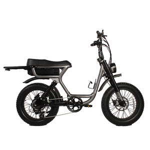 48V TO-LANDS 250W/500W/750W/1000W Neumático gordo Bicicleta Eléctrica Mountain City Dirt <span class=keywords><strong>Cruiser</strong></span> Carga Eléctrica <span class=keywords><strong>EBike</strong></span> - Product Image 4