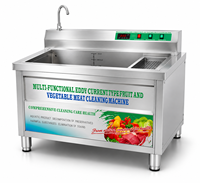 Industriële groentewasmachine met hoge capaciteit en luchtbellen voor de foodservice-industrie