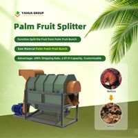 1-10 ton per uur nieuwe professionele palmolieproductielijn, rode palmolie-extractiemachine, palmoliepersmachine, fabriek