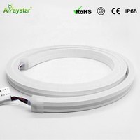 Bande LED néon DMX512 adressable 12*20mm à courbure latérale, IP67, 12V 24V, RGB RGBW, couleur changeante, flexible, pour bâtiment
