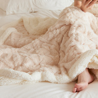 Couvertures chaudes Double face 100% Polyester Sherpa en molleton de haute qualité