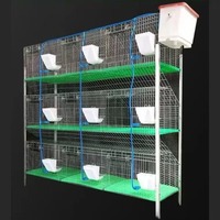 Ventes Directes Usine de Cages à Lapins Galvanisées de Haute Qualité, Cage à Lapins à 3 Étages et 12 Places, Équipement d'Élevage de Lapins