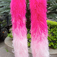Boa en plumes d'autruche 13 plis, sur mesure, 2 mètres, écharpe en plumes de haute qualité, châle moelleux, décoration de robe de fête DIY, tricolore