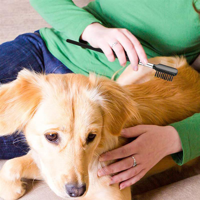 amazon hot selling stainless steel pet eye comb brush eyebrow comb double headed brush for pet dogs
