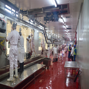 Equipo de Matadero <span class=keywords><strong>Halal</strong></span> para Ovejas, Matadero de Corderos, Línea de Sacrificio de Cabras, Máquina de Sacrificio - Product Image 6