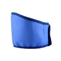 Bandana rafraîchissante instantanée réglable pour chien – Collier apaisant et rafraîchissant pour la dissipation de la chaleur estivale par temps chaud