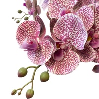 Orchidées artificielles réalistes au toucher naturel de 85 cm, en soie, pour hôtels de luxe, mariages, maisons, Thanksgiving et Noël