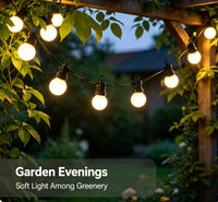 Guirnalda de Luces LED G50 de 5 Metros, 10 LED, Blanco Cálido, Impermeable, para Jardín, Patio, Exterior, DC12V