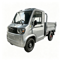 Nouvelle camionnette électrique à énergie renouvelable, zéro émission, 3000W, longue portée 120 km, pour utilisation en ranch