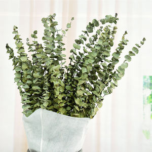 <span class=keywords><strong>Fleurs</strong></span> <span class=keywords><strong>séchées</strong></span> en gros et <span class=keywords><strong>bouquet</strong></span> <span class=keywords><strong>de</strong></span> <span class=keywords><strong>fleurs</strong></span> végétales feuilles d'<span class=keywords><strong>eucalyptus</strong></span> naturelles pour la décoration <span class=keywords><strong>de</strong></span> désherbage à la maison - Product Image 3