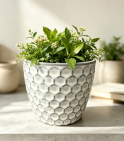 Pot Tanaman Stoneware untuk Dalam Ruangan dengan Drainase, Finishing Sarang Lebah Putih Distress untuk Rumah dan Kantor Modern