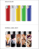 Briquets à gaz jetables en plastique bon marché briquet à flamme au butane rechargeable pour la cuisine briquet électronique unique en gros de Chine