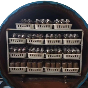 Satrise Mushroom Autoclave Esternizador - Product Image 3