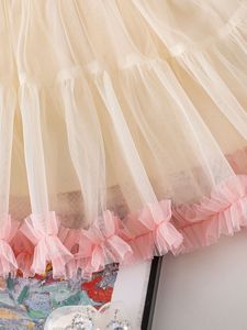 2025 été enfants vêtements haut à licou <span class=keywords><strong>Tut</strong></span> dentelle jupe deux pièces 2-7Y enfants fille fleur vêtements ensemble - Product Image 5