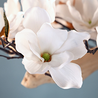 Pohon Bonsai Magnolia Buatan, Pohon Magnolia Putih, Batang Kering, Tanaman Pot untuk Dekorasi Interior Mewah Hotel dan Rumah