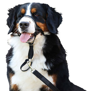 Bozal Ajustable para Adiestramiento de Perros, Reflectante, Transpirable, de Malla Segura y Cómoda, Antiladridos, con Cinta de Nylon Sólida - Product Image 4