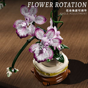 13114 Bloem Bouwstenen <span class=keywords><strong>Plant</strong></span> Orchidee Bakstenen Desktop Verzamelobjecten Blokken Bouwen Speelgoed Kind Diy Volwassen Romantische Geschenken Voor Kinderen - Product Image 5