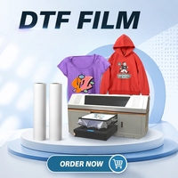 Film en rouleau DTF 30 cm x 100 mètres pour l'impression sur vêtements