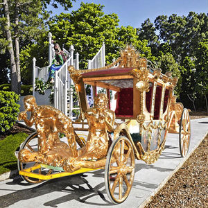 فاخر ذهبي مللكي من أجل أحداث العرض - Product Image 5