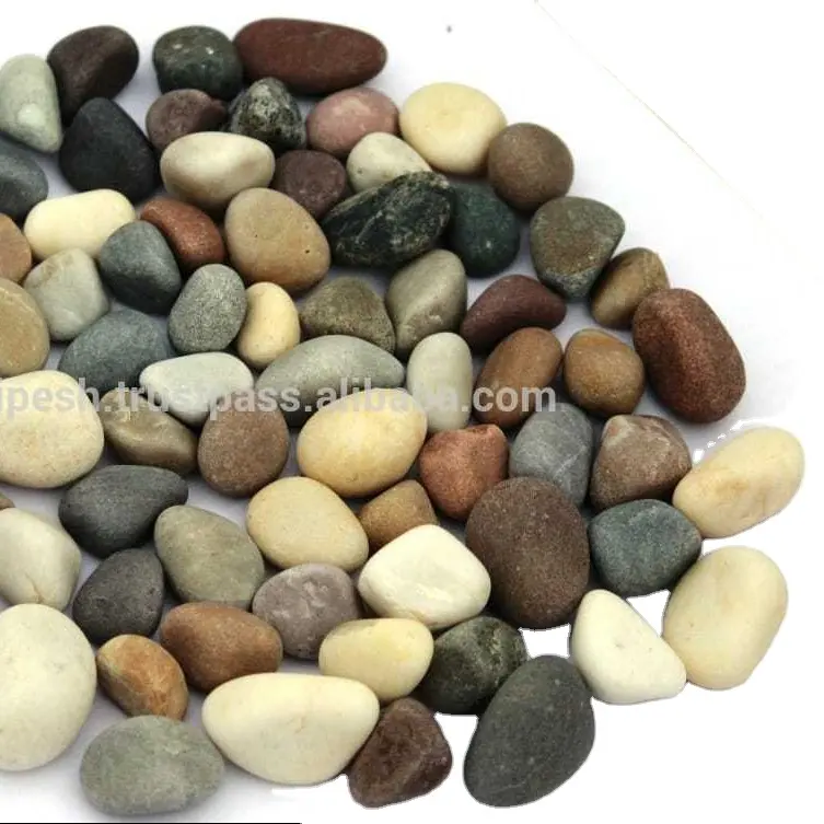 Niedriger Preis natürliche indische mehrfarbige Kieselsteine Rock/Mix Farbe natürliche Kies