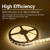 Bande lumineuse LED COB flexible programmable à double température de couleur IP65 de 8 mm pour aménagement paysager