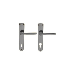 Maniglia 'GINEVRA' con placca, foro per serratura - colore argento - Product Image 2