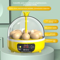 Incubateur d'œufs de poule entièrement automatique, mini incubateur domestique intelligent, alimentation USB, modèle éducatif scientifique