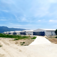 Hangar industriel en acier galvanisé de calibre lourd pour poulets de chair avec panneaux de refroidissement et ventilateurs d'extraction
