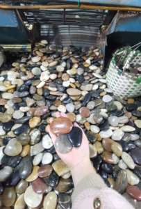 Alto pulido Color mezclado Naturaleza Río <span class=keywords><strong>Piedra</strong></span> Marrón Negro Blanco Rojo Gris Hecho de granito para pavimentación y decoración de jardines - Product Image 2