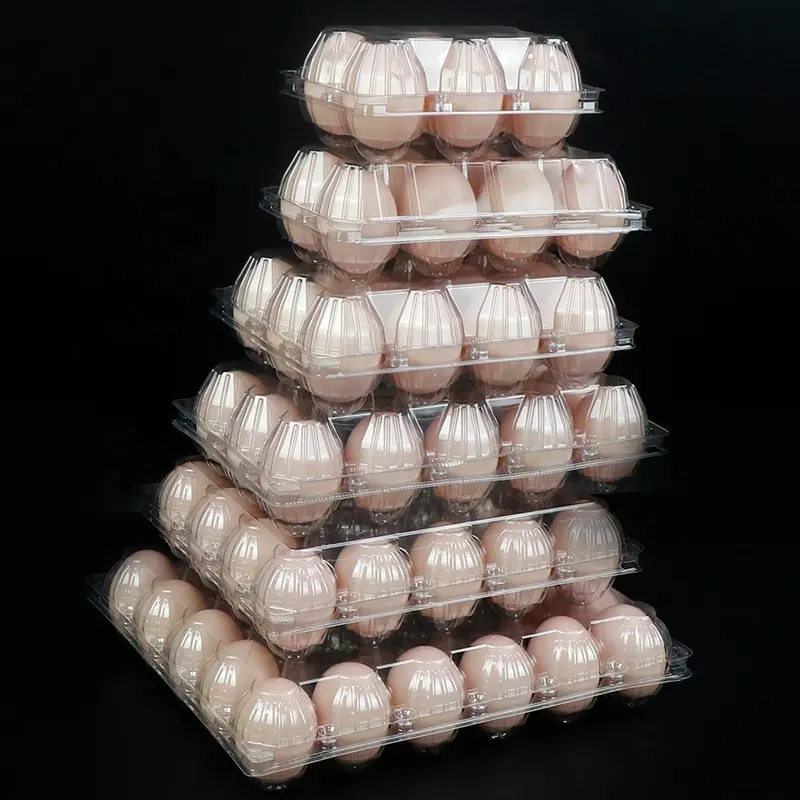 Cartones de huevos de plástico de 12 celdas con 12 agujeros Cartón de huevos 3X4